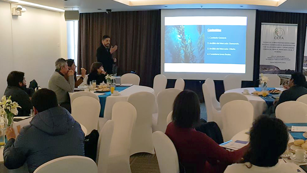 Finaliza consultoría vinculada a extractos de macroalgas encargada por la Universidad Católica del Norte, Coquimbo Chile.